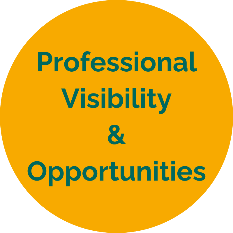Professional Visibility & Opportunities